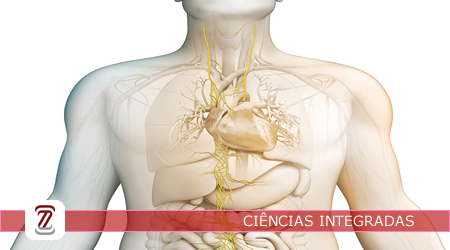 2025 - CIENCIAS INTEGRADAS