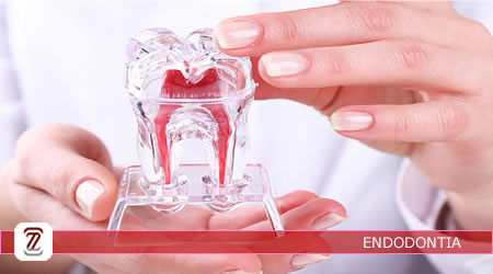 UCE303_ENDODONTIA - NOTURNO 25